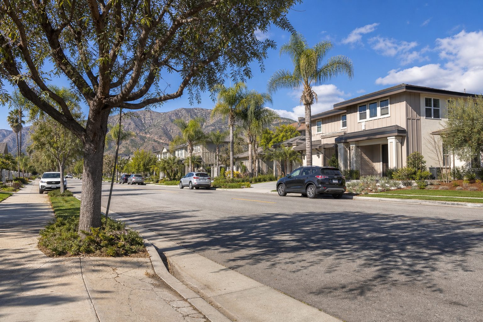Contemporary Craftsman homes with mature trees lining a quiet street in central Rancho Cucamonga residential neighborhood.